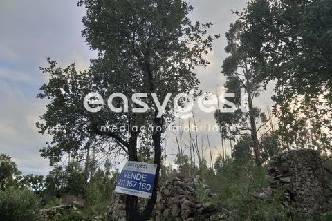 Helårsgrund i Monchique, Faro, Monchique - € 47.000 | Ref: AL89754LP - foto 1