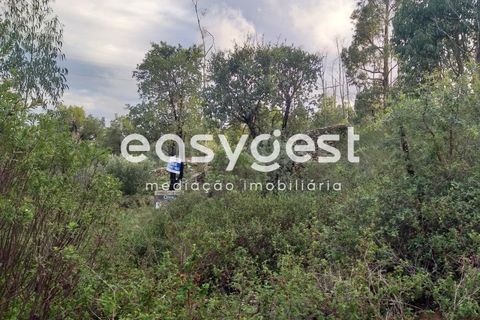 Helårsgrund i Monchique, Faro, Monchique - € 47.000 | Ref: AL89754LP - foto 2