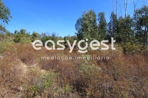 Helårsgrund i Monchique, Faro, Monchique - € 47.000 | Ref: AL89754LP - foto 12