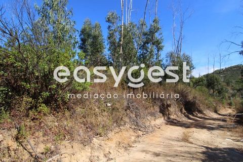 Helårsgrund i Monchique, Faro, Monchique - € 47.000 | Ref: AL89754LP - foto 13