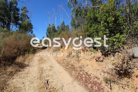 Helårsgrund i Monchique, Faro, Monchique - € 47.000 | Ref: AL89754LP - foto 14