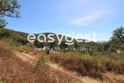 Helårsgrund i Monchique, Faro, Monchique - € 47.000 | Ref: AL89754LP - foto 15