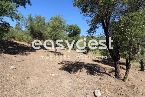 Helårsgrund i Monchique, Faro, Monchique - € 47.000 | Ref: AL89754LP - foto 16