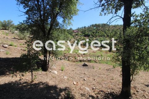 Helårsgrund i Monchique, Faro, Monchique - € 47.000 | Ref: AL89754LP - foto 18