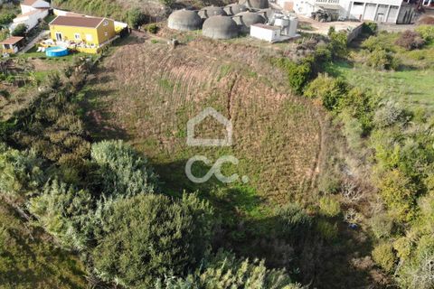 Helårsgrund i Cadaval, Lisbon, Cadaval - € 19.000 | Ref: 321/T/01224 - foto 1