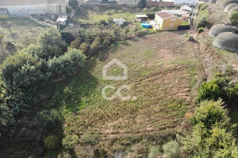 Helårsgrund i Cadaval, Lisbon, Cadaval - € 19.000 | Ref: 321/T/01224 - foto 2