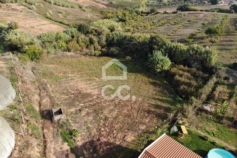 Helårsgrund i Cadaval, Lisbon, Cadaval - € 19.000 | Ref: 321/T/01224 - foto 3
