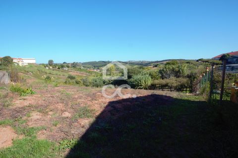 Helårsgrund i Cadaval, Lisbon, Cadaval - € 19.000 | Ref: 321/T/01224 - foto 5