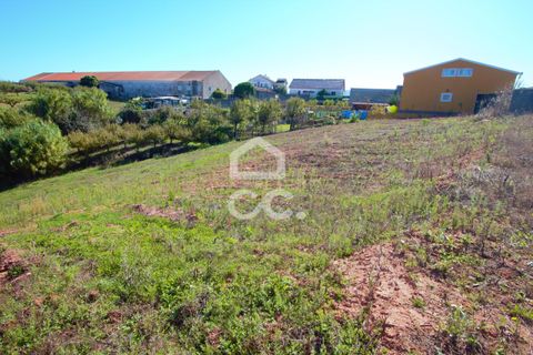 Helårsgrund i Cadaval, Lisbon, Cadaval - € 19.000 | Ref: 321/T/01224 - foto 6