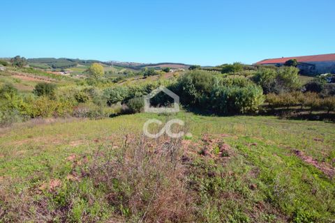 Helårsgrund i Cadaval, Lisbon, Cadaval - € 19.000 | Ref: 321/T/01224 - foto 7