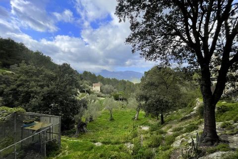 Villa i Galilea, Mallorca, Galilea - € 670.000 | Ref: SH-1562 - foto 33