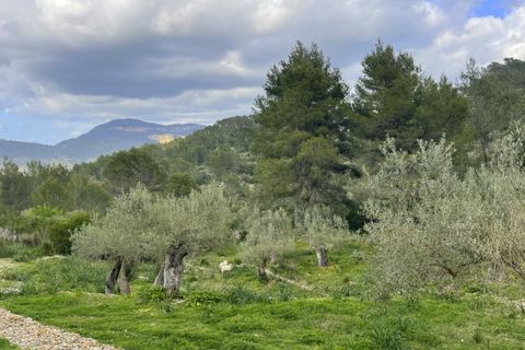 Villa i Galilea, Mallorca, Galilea - € 670.000 | Ref: SH-1562 - foto 35