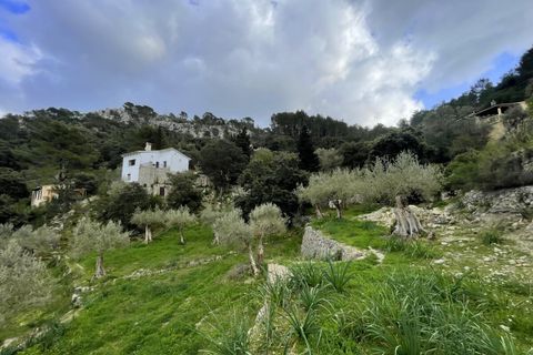 Villa i Galilea, Mallorca, Galilea - € 670.000 | Ref: SH-1562 - foto 38