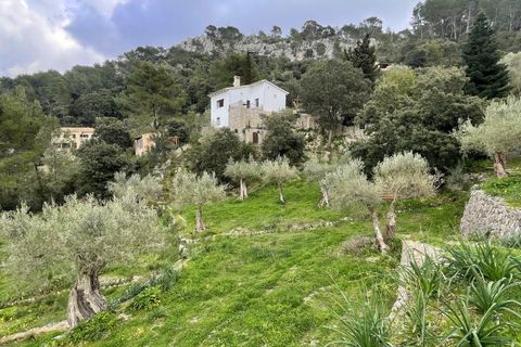 Villa i Galilea, Mallorca, Galilea - € 670.000 | Ref: SH-1562 - foto 39