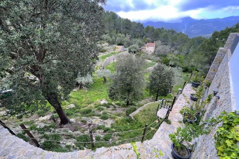 Villa i Galilea, Mallorca, Galilea - € 670.000 | Ref: SH-1562 - foto 50