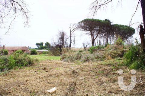 Terra a Rome, Rome, Rome - € 125.000 | Ref: IC585 - foto 2