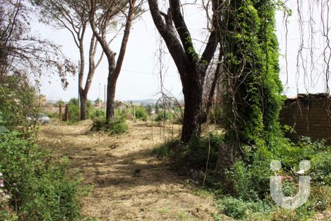 Terra a Rome, Rome, Rome - € 125.000 | Ref: IC585 - foto 4
