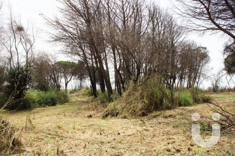 Terra a Rome, Rome, Rome - € 125.000 | Ref: IC585 - foto 7