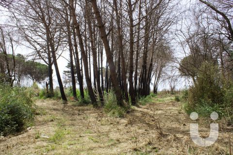 Terra a Rome, Rome, Rome - € 125.000 | Ref: IC585 - foto 8