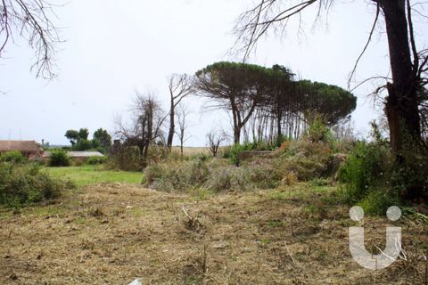 Terra a Rome, Rome, Rome - € 125.000 | Ref: IC585 - foto 9