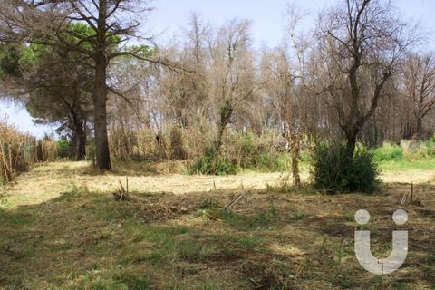 Terra a Rome, Rome, Rome - € 125.000 | Ref: IC585 - foto 11