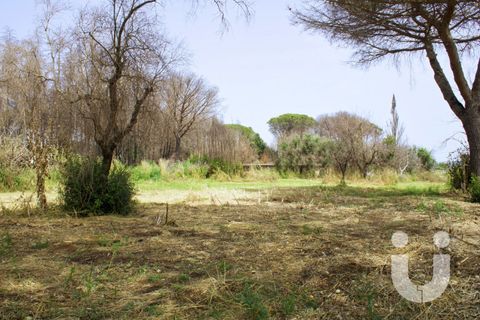 Terra a Rome, Rome, Rome - € 125.000 | Ref: IC585 - foto 14