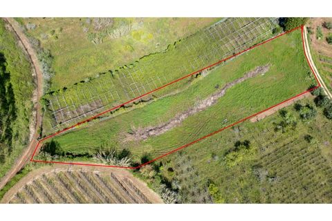 Helårsgrund i Alcobaca, Leiria, Alcobaca - € 20.000 | Ref: 032/2025.PS - foto 2