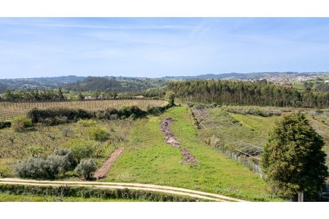 Helårsgrund i Alcobaca, Leiria, Alcobaca - € 20.000 | Ref: 032/2025.PS - foto 3