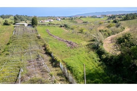 Helårsgrund i Alcobaca, Leiria, Alcobaca - € 20.000 | Ref: 032/2025.PS - foto 5