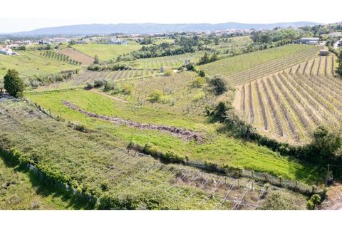 Helårsgrund i Alcobaca, Leiria, Alcobaca - € 20.000 | Ref: 032/2025.PS - foto 7