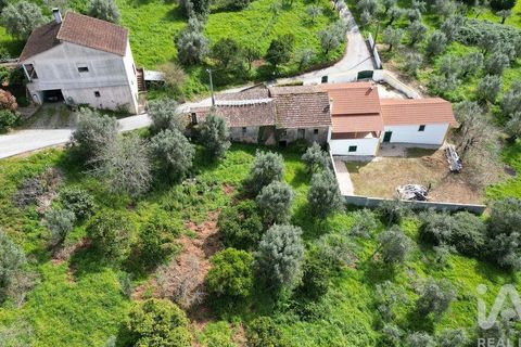 Helårsgrund i Penela, Coimbra, Penela - € 15.000 | Ref: 140638 - foto 11