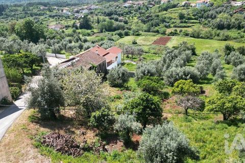 Helårsgrund i Penela, Coimbra, Penela - € 15.000 | Ref: 140638 - foto 12