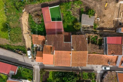 Villa a Coimbra, Coimbra, Coimbra - € 350.000 | Ref: LUX_CB-00916 - foto 40