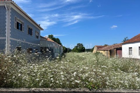 Helårsgrund i Cantanhede, Coimbra, Cantanhede - € 35.000 | Ref: 408240017 - foto 7