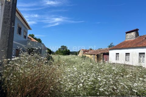 Helårsgrund i Cantanhede, Coimbra, Cantanhede - € 35.000 | Ref: 408240017 - foto 8