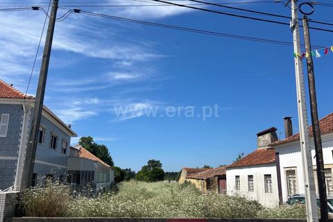 Helårsgrund i Cantanhede, Coimbra, Cantanhede - € 35.000 | Ref: 408240017 - foto 9