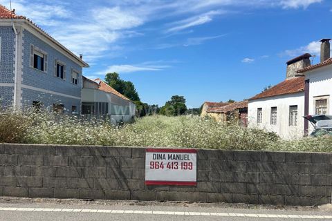 Helårsgrund i Cantanhede, Coimbra, Cantanhede - € 35.000 | Ref: 408240017 - foto 10