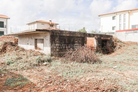 Grond in Agueda, Aveiro, Agueda - € 50.000 | Ref: 408240067 - foto 5