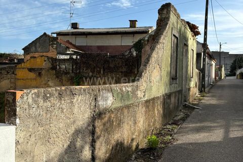 Helårsgrund i Mealhada, Aveiro, Mealhada - € 49.000 | Ref: 408240088 - foto 3