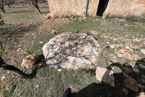 Landejendom i Yecla, Murcia, Yecla - € 70.000 | Ref: PG--22392 - foto 5