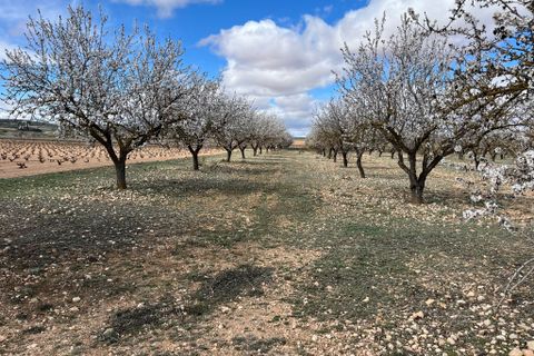 Landejendom i Yecla, Murcia, Yecla - € 70.000 | Ref: PG--22392 - foto 7