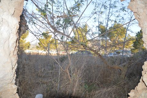 Cave house i Pinoso, Alicante, Pinoso - € 45.000 | Ref: PG--98949 - foto 4