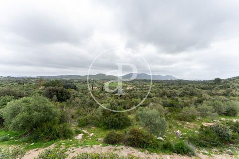 Villa a Arta, Mallorca, Arta - € 3.200.000 | Ref: VPM2504009 - foto 40