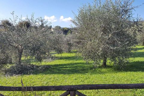 Villa i Sovicille, Siena, Sovicille - € 790.000 | Ref: T-VCO-145-481949 - foto 14