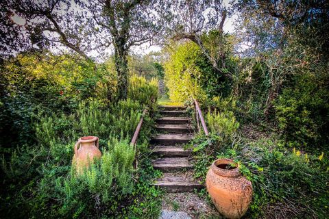 Villa i Cortona, Arezzo, Cortona - € 1.400.000 | Ref: ITP-04-481996 - foto 6