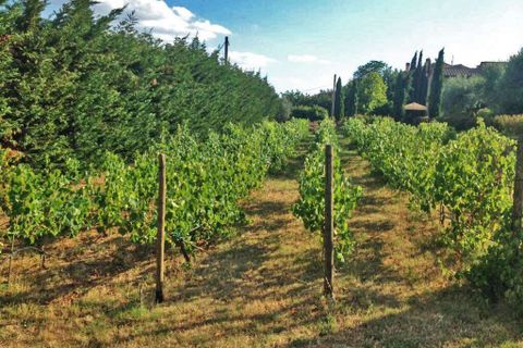 Villa i Cortona, Arezzo, Cortona - € 1.400.000 | Ref: ITP-04-481996 - foto 19