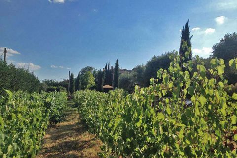 Villa i Cortona, Arezzo, Cortona - € 1.400.000 | Ref: ITP-04-481996 - foto 20