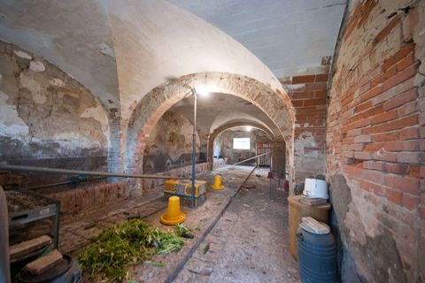 Farm hus i Peccioli, Pisa, Peccioli - € 3.300.000 | Ref: 1203-482097 - foto 11