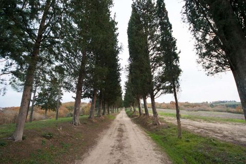 Farm hus i Peccioli, Pisa, Peccioli - € 3.300.000 | Ref: 1203-482097 - foto 19