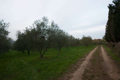 Farm hus i Peccioli, Pisa, Peccioli - € 3.300.000 | Ref: 1203-482097 - foto 21